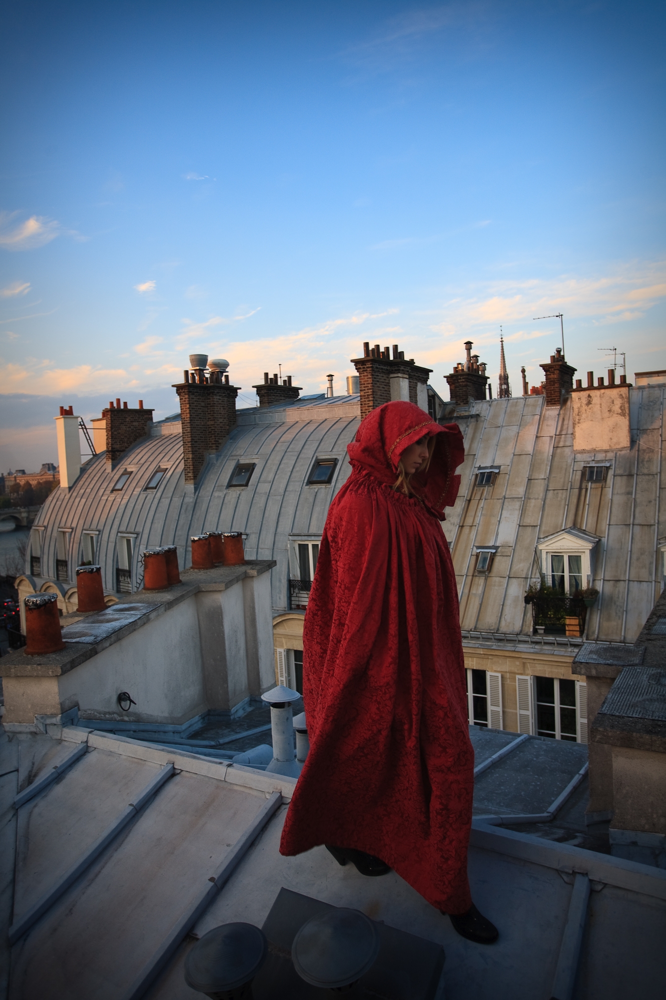 Toits de Paris