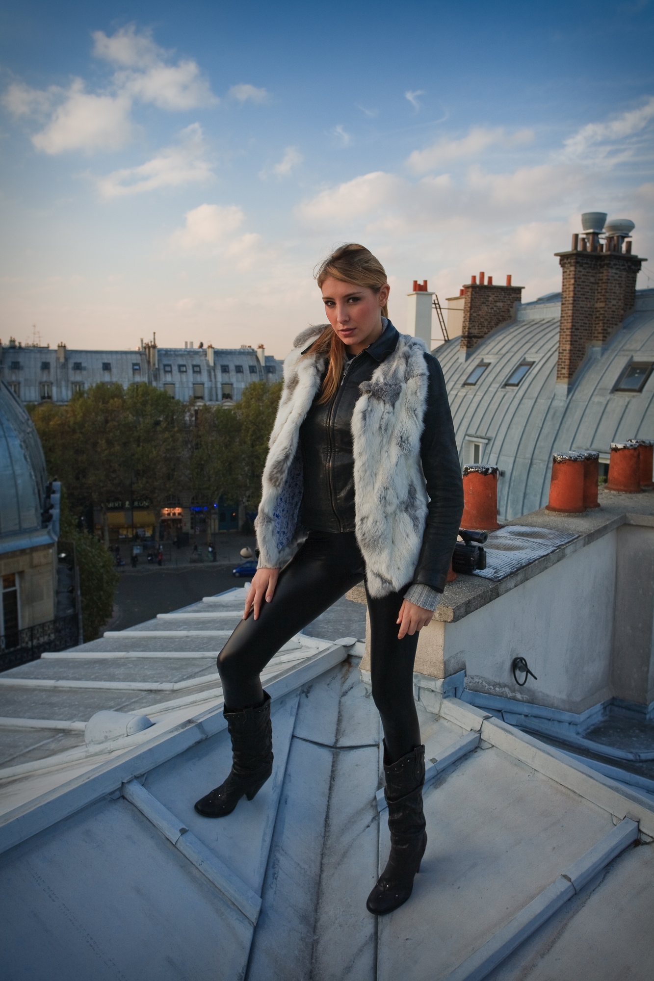 Toits de Paris